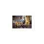 Segway eScooter B110S