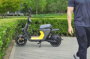 Segway eScooter B110S