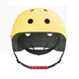 Helma Segway-Ninebot L/XL