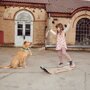 GiBoard Cesar Jib
